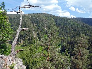 Bernecktal