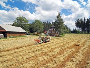 Dreschen auf dem Reibehof