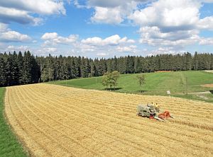 Dreschen auf dem Reibehof
