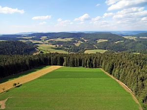 Dreschen auf dem Reibehof