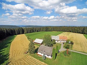 Dreschen auf dem Reibehof