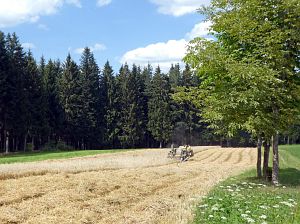 Dreschen auf dem Reibehof