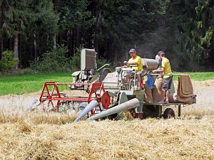 Dreschen auf dem Reibehof