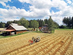 Dreschen auf dem Reibehof