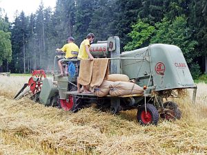 Dreschen auf dem Reibehof