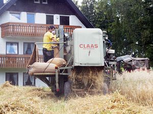 Dreschen auf dem Reibehof