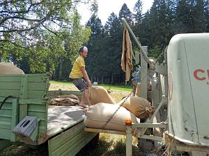 Dreschen auf dem Reibehof