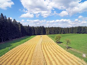 Dreschen auf dem Reibehof