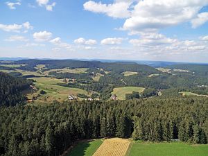 Dreschen auf dem Reibehof