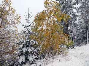 Erster Schnee