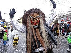 Fasnetumzug Tennenbronn