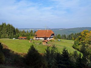 Herbst 2018 in Tennenbronni