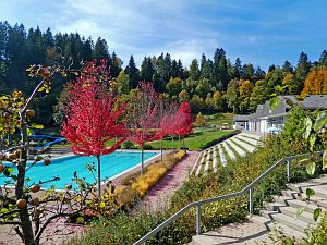 Herbst 2018 in Tennenbronni