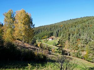 Herbst 2018 in Tennenbronni