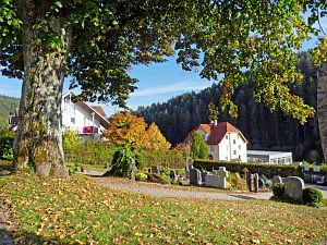 Herbst 2018 in Tennenbronni