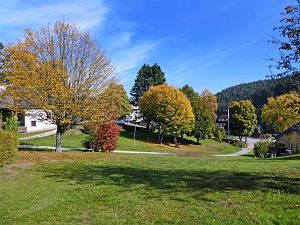 Herbst 2018 in Tennenbronni