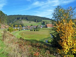 Herbst 2018 in Tennenbronni