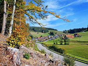 Herbst 2018 in Tennenbronni