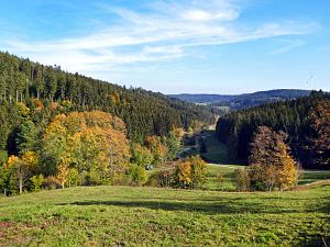 Herbst 2018 in Tennenbronni