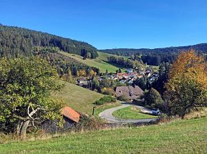 Herbst 2018 in Tennenbronni