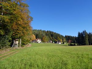 Herbst 2018 in Tennenbronni