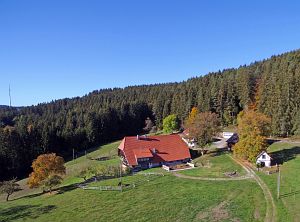 Herbst 2018 in Tennenbronni