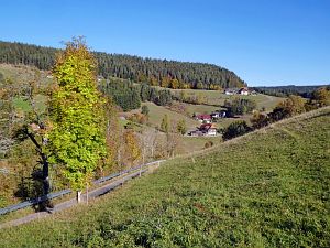 Herbst 2018 in Tennenbronni