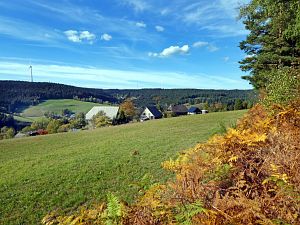 Herbst 2018 in Tennenbronni