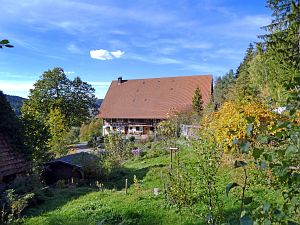 Herbst 2018 in Tennenbronni