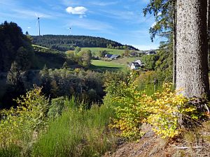Herbst 2018 in Tennenbronni
