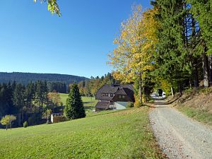 Herbst 2018 in Tennenbronni