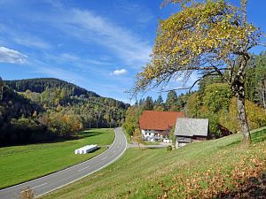 Herbst 2018 in Tennenbronni