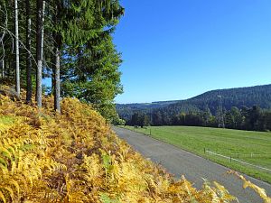 Herbst 2018 in Tennenbronni