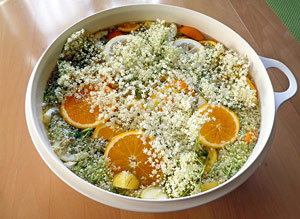 Holunderblten Sirup