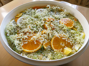 Holunderblten Sirup