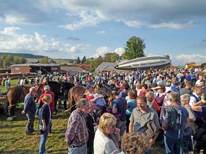 Kreiserntedankfest