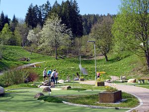 Wiesenbauerndobel in voller Blte