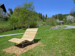 Wiesenbauerndobel in voller Blte