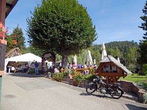 100 Jahre Lwen
