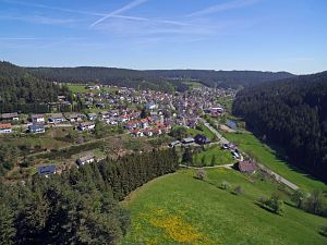 Lwenzahnblte Tennenbronn 2018