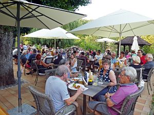 Musik unterm Lindenbaum