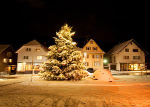 Tennenbronn Winternacht