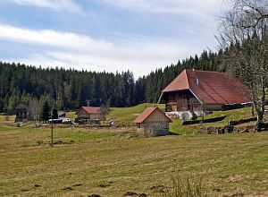 Osterspaziergang in Tennenbronn 2018