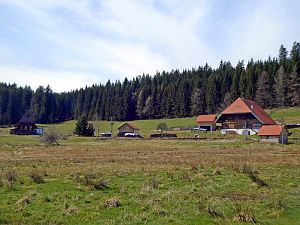 Osterspaziergang in Tennenbronn 2018