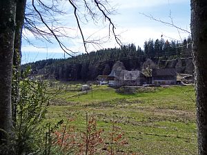 Osterspaziergang in Tennenbronn 2018