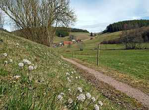 Osterspaziergang in Tennenbronn 2018