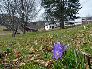Osterspaziergang in Tennenbronn 2018