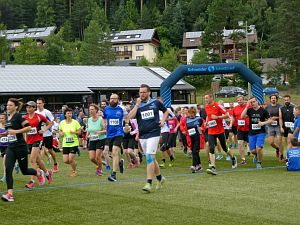Dritter Schneider Run