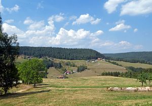 Sommer Tennenbronn 2018