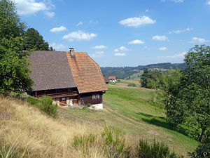 Sommer Tennenbronn 2018